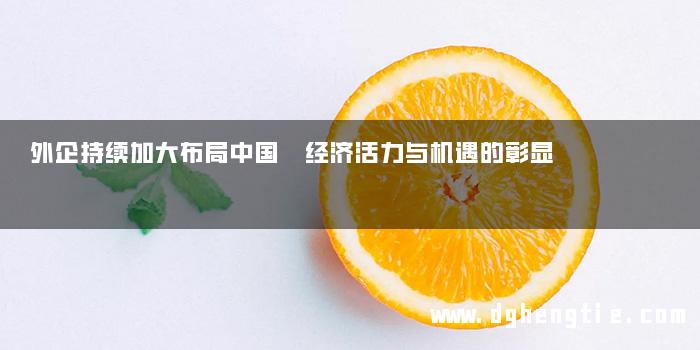 外企持续加大布局中国 经济活力与机遇的彰显
